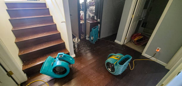 Best Sewage cleanup and water damage restoration  in Pasco, WA
