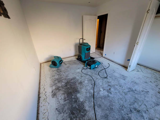 Best Water damage restoration services  in Pasco, WA