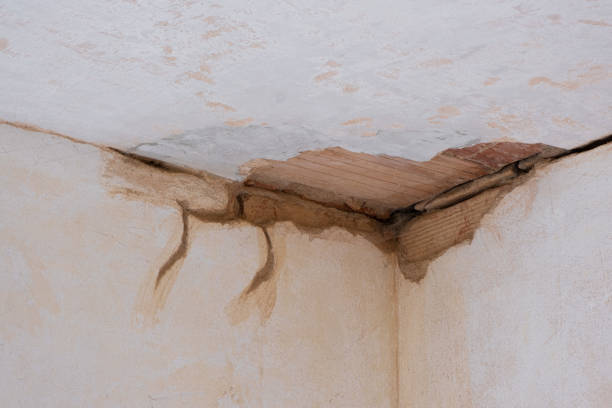 Best Carpet water damage restoration  in Pasco, WA