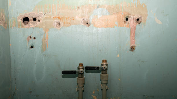 Best Commercial water damage restoration  in Pasco, WA