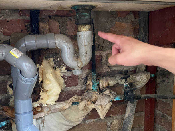 Best Water damage restoration near me  in Pasco, WA